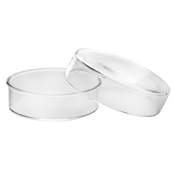 Petri Dish, 3.15" (80mm) - Beaded Edges - Easy to Sterilize for Repeated Use - Borosilicate Glass - Eisco Labs
