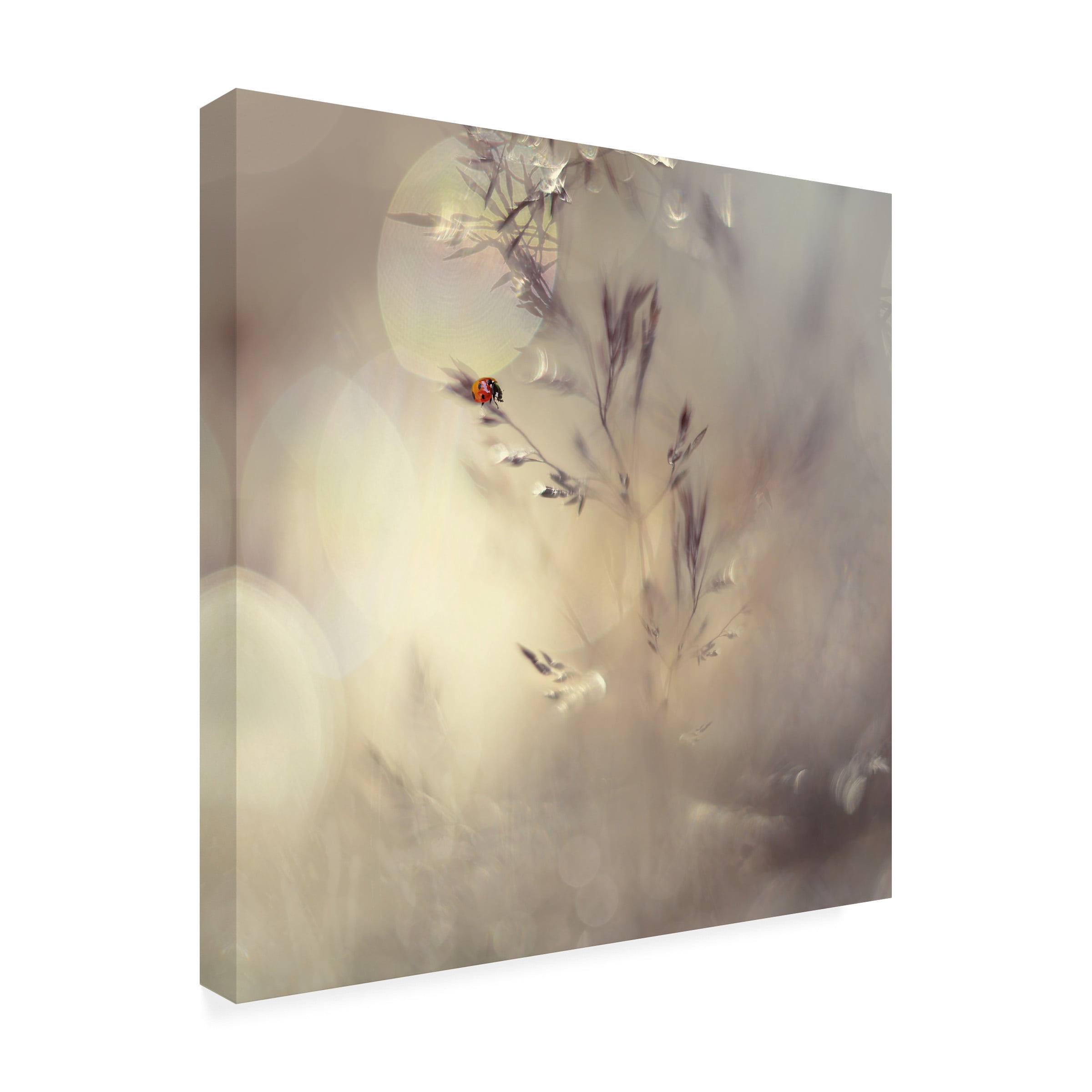 Heidi Westum 'Little Lady' Canvas Art
