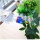 thumbnail image 3 of 10 aspersores de jardín portátiles con tapa de botella de riego para plantas y flores, 3 of 5