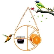 Oriole Wild Bird Feeder, Orange Clementine Design, Steel Bird Feeder with Landing Perches, 2 in 1 Bird Feeder, Orange Fruit Stick Feeder & Glass Nectar/Jelly Container