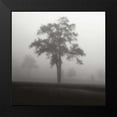 thumbnail image 2 of Cook, Jamie 12x12 Black Modern Framed Museum Art Print Titled - Fog Tree Study I, 2 of 5