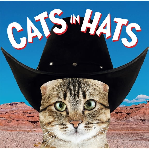 Pre-Owned Cats in Hats (Hardcover) by Ammonite Press