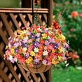 thumbnail image 2 of Artificial Hanging Flowers in Basket,Fake Daisy Plants Arrangement,inch Coconut Lining Basket Hanging Plant,Outdoor Indoor Patio Lawn Garden Porch Spring Decor (Dark Purple), 2 of 5