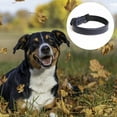 thumbnail image 3 of Collier en Cuir pour Chien, Réglable avec Fermoir en Alliage, 3 of 5