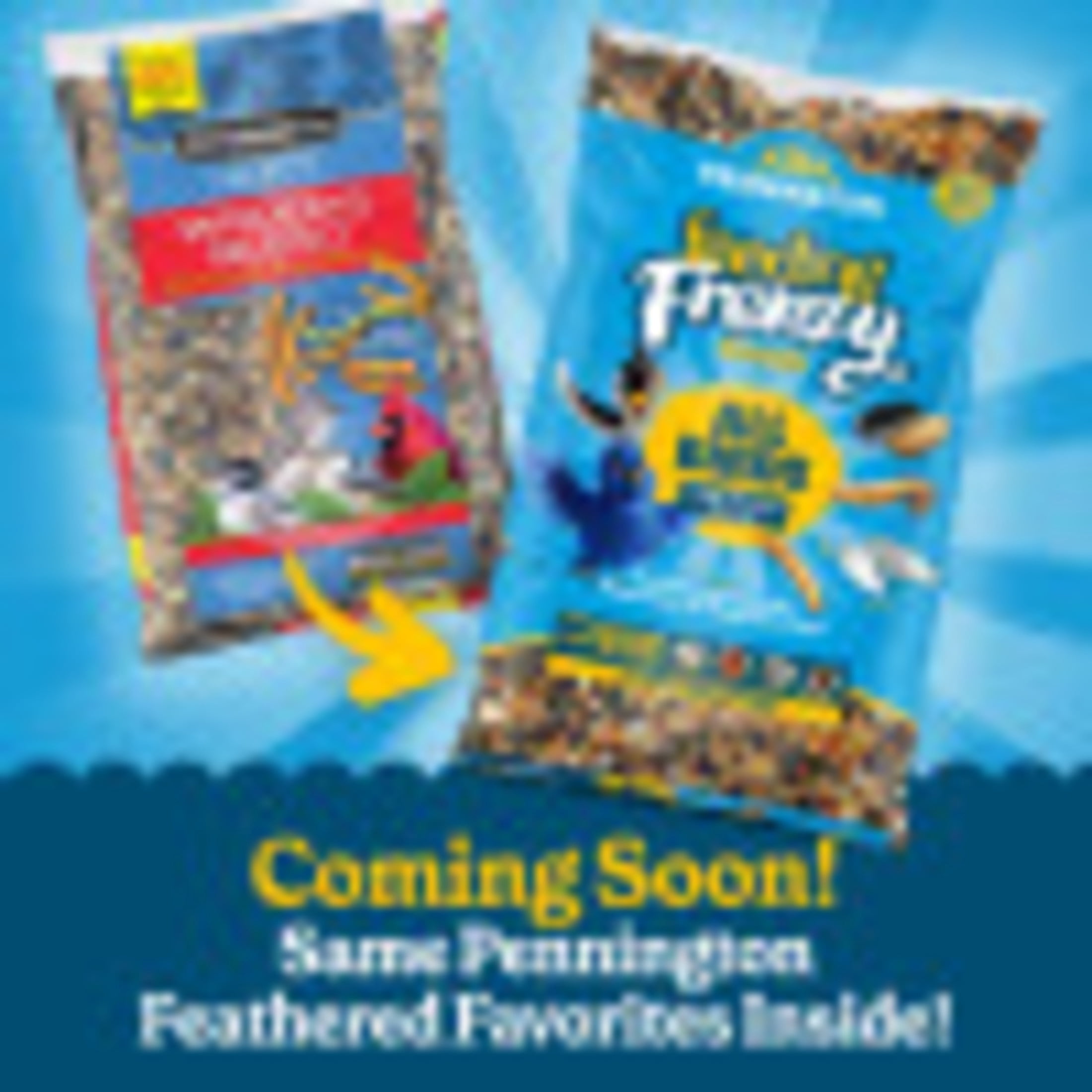 (4 pack) Pennington Recipe Selects Birder's Mealworm Blend, Dry Wild Bird Seed and Feed, 10 lb. Bag, 1 Pack