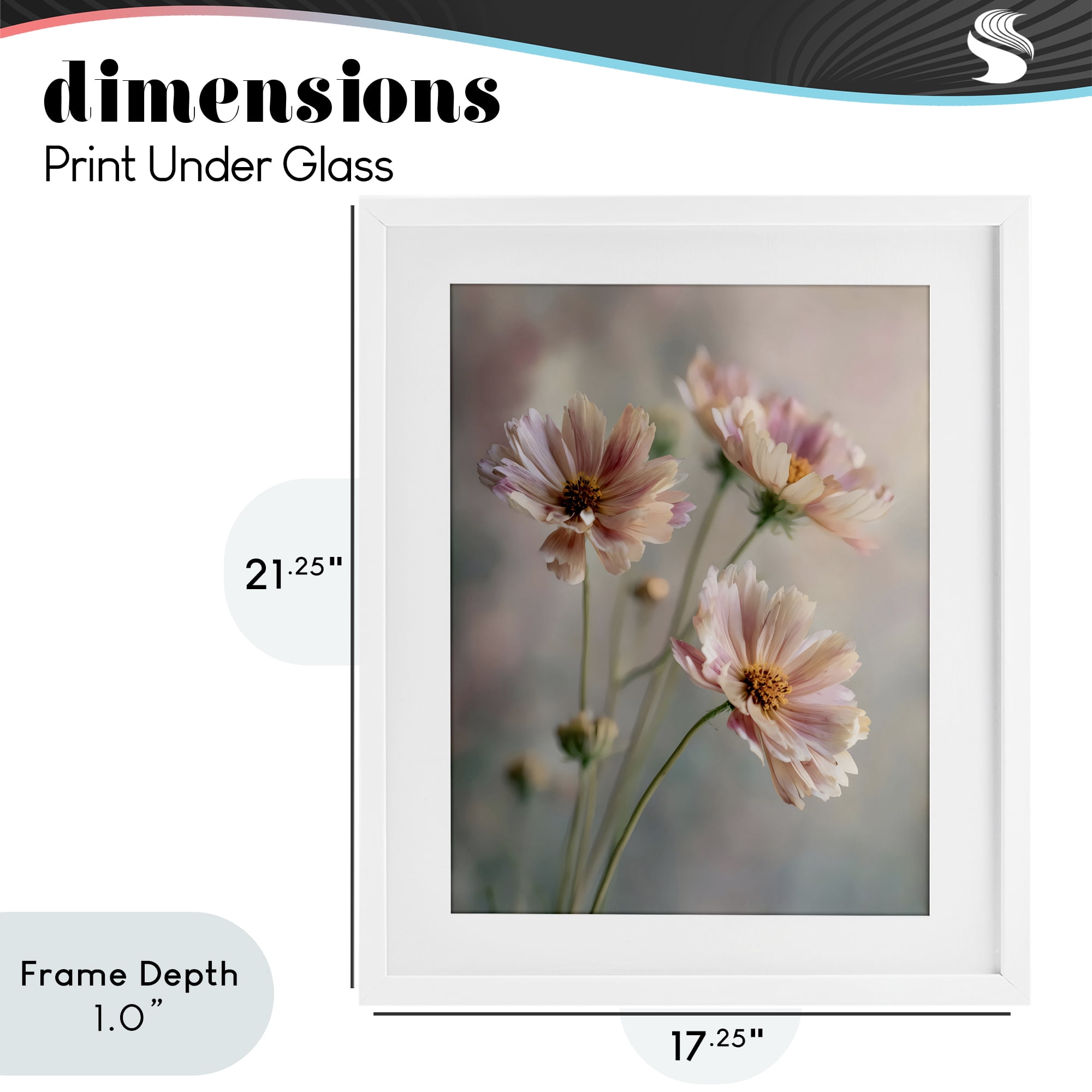 Stupell Industries Pink Daisies Close Up White Framed Print Under Glass, design by Franklyn Gregory