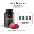 thumbnail image 3 of Venflow Platinum B LIFE 240 cápsulas con jengibre Ajo negro arginina Resveratrol niacina Cebolla Morada Pimienta de cayena, 3 of 7