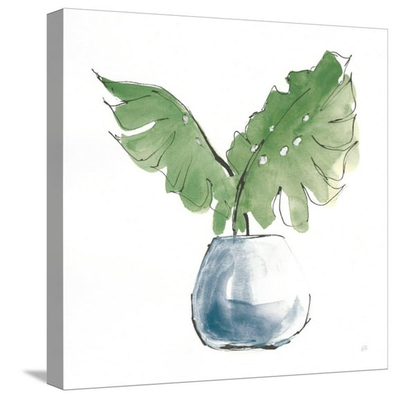 Art.com Plant Big Leaf II Dark Green Stretched Canvas Print Wall Art by Chris Paschke, 16" x 16"