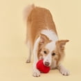 thumbnail image 3 of Playology Jumbo Squeaky Pinecone - Beef Scented Dog Toy, 3 of 6
