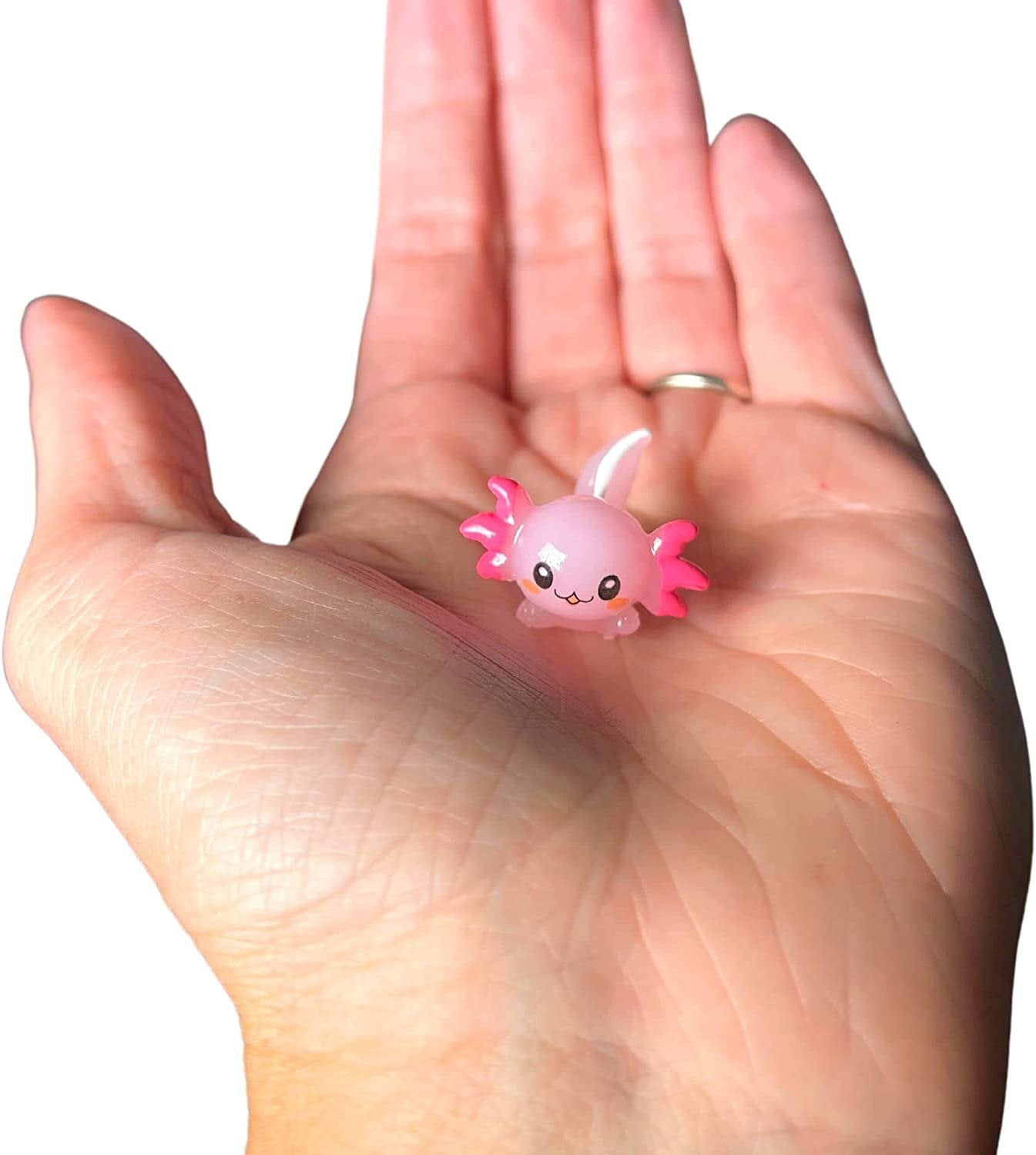 SOORXIEIN 24 Pcs Mini Axolotl Resin Charms Miniature