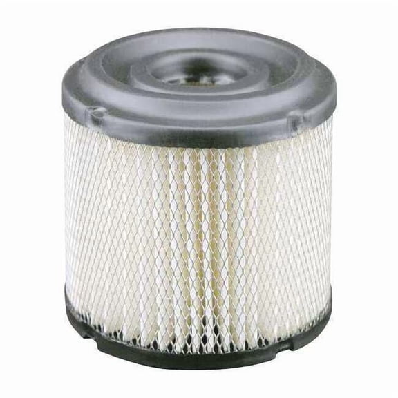 Baldwin Filters Air Filter,2-7/32 x 2-5/16 in. PA1763