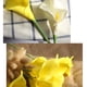 thumbnail image 3 of 20 Piezas Alcatraces Hipoalergénicos Yuarrent Decoración Naranja, 3 of 6