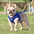 thumbnail image 2 of Soft and Comfortable Adjustable Mesh Vest Harness for Small and Medium Dogs and Cats - Ultimate Durable Collar for Outdoor Activities - Essential Support for Your Beloved Pet‘s Safety and, 2 of 7