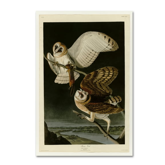Trademark Fine Art 'Barn Owlplate 171' Canvas Art by Audubon
