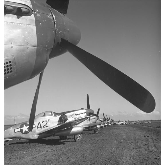 Tuskegee Airmen show 23"x24" Photographic Print Poster WW2 History