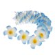 thumbnail image 4 of 200 Cabezas Flotantes de Plumeria Frangipani para Bodas, Pinzas para El Cabello Artesanales SM SunniMix Decoración del banquete de boda, 4 of 8