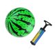 thumbnail image 4 of EeaseMX 2 pelotas inflables de 9 pulgadas con bomba, juguetes educativos para niños, regalos para bebés., 4 of 7