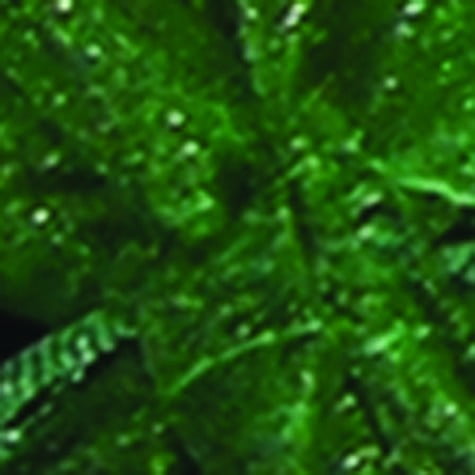 Club Pack of 36 Forest Green Organza Tie Gift Bags 5.5" x 8"