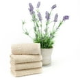 thumbnail image 4 of EastNBlue East'N Blue Galata Turkish Cotton Washcloth (Pack of 4) White, 4 of 5