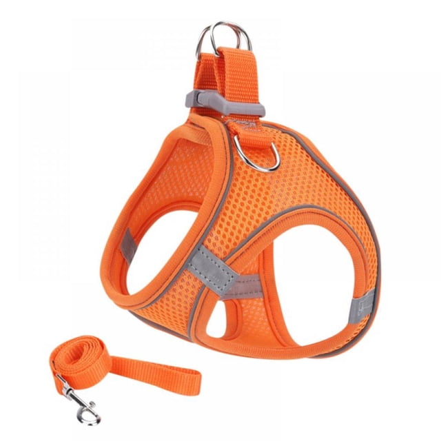 Pet Dog Cat Puppy Harness and Leash Set- All Weather Mesh Step In Vest Harness for Cats Small Dogs