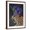 Brown Frame, variant on Art.com Hot House Leopard 2 Stretched Canvas Print Wall Art by Fab Funky, 12" x 16"