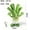 C, variant on Cabbage Planter Pot Decorative Resin Vegetable Shape Flower Vase for Home Office Tabletop Decoration Funny Gift (C)