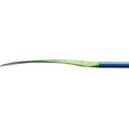 thumbnail image 2 of Carlisle Magic Mystic Kayak Paddle with Polypropylene Blades and Aluminum Shaft, 240cm - Ahi, 2 of 6