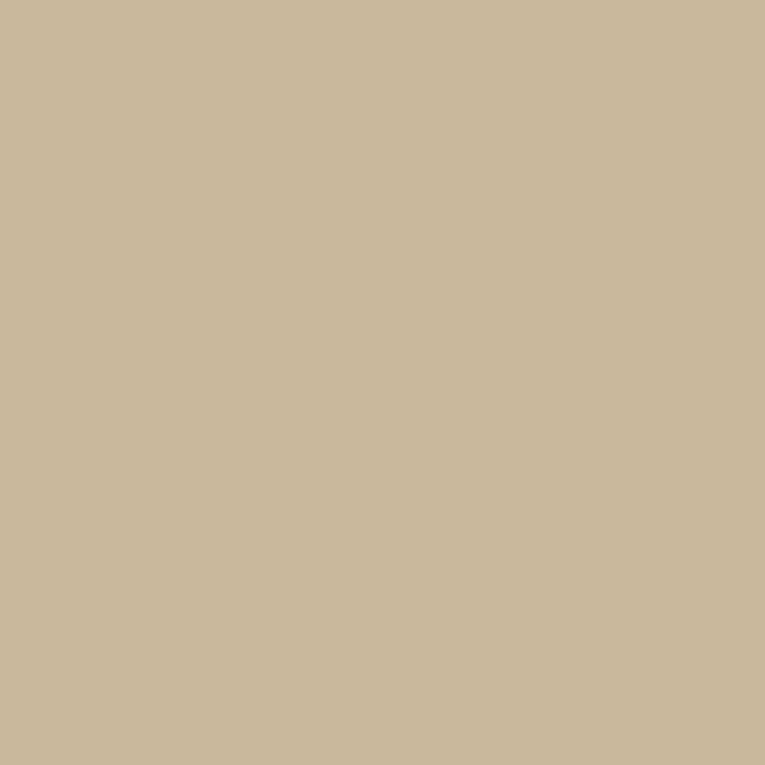 Springs Creative Natural Charm Solid Color Khaki 100% Cotton Fabric by The Yard - image 1 of 1