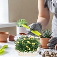 thumbnail image 3 of RUNROTOO 2 Sets Plastic Vegetable Planters Square Pots for Indoor Outdoor Use, 3 of 8