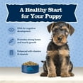 thumbnail image 4 of Blue Buffalo Baby BLUE Healthy Growth Puppy Dry Food, Chicken, 4-lb Bag, 4 of 11
