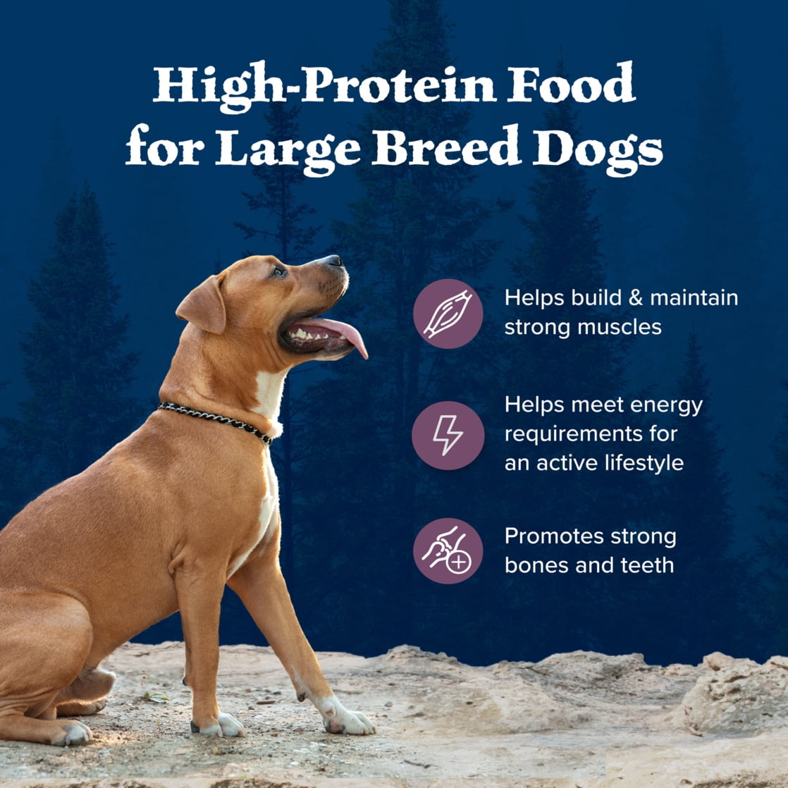 Blue Buffalo Wilderness Natural High-Protein Dry Food for Large Breed Dogs, Bison, 28-lb bag.