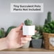 thumbnail image 2 of FloreceBien - Macetas pequeñas blancas para suculentas con bandeja de bambú, juego de 4 unidades, diseño hexagonal, soporte geométrico para plantas de cactus, para el hogar, la oficina, la mesa, el, 2 of 8