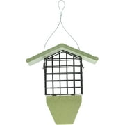 Birds Choice GSTP Tail Prop Suet Feeder, Recycled Hanging Suet Bird Feeder, 1 Suet Cake Capacity, Green