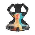 thumbnail image 4 of Lsque Cloud Cute Hamster Dog Harness, No-Pull Pet Harness with 2 Leash Clips, Adjustable Soft Padded Dog Vest with Easy Control Handle for Large Dogs-X-Large, 4 of 9