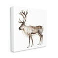 thumbnail image 3 of Stupell Industries Reindeer Wild Animal Children's Nursery Watercolor Painting, 24 x 24,Design by Fox Hollow Studios, 3 of 5