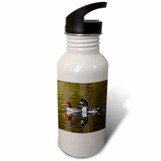 3dRose Fiddleheads, Ferns, Stanley Park, British Columbia-CN02 PCL0273 -  Paul Colangelo, Sports Water Bottle, 21oz 