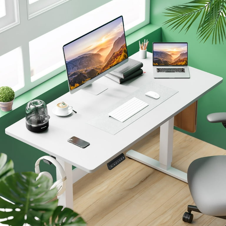 MCQ 40x24 Inch Electric Standing Desk, Ergonomic Rising Modern