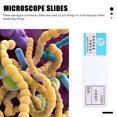 thumbnail image 3 of MasteelfCA 5pcs Prepared Microscope Slides Spirogyra Microscope Slides Biological Science Education, 3 of 7