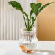 thumbnail image 1 of Transparent flower pots Plastic vase Floor vase living room home small bottle ornaments office hydroponic flower arranger Feature:Quantity: 1Pcs Colour: Clear Material: PolyesterProduct size:, 1 of 6