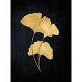 thumbnail image 2 of Koetsier, Albert 12x14 White Modern Wood Framed Museum Art Print Titled - Midas Ginkgo 2, 2 of 4