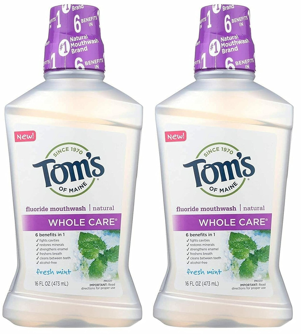 (2 Pack Bundle)Tom's of Maine Whole Care Mouthwash, Fresh Mint, 16 oz
