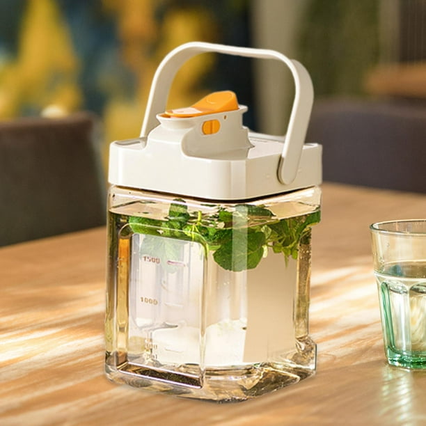 BOUTEILLE D'EAU FROIDE Un Verre Récipient Avec Couvercle Canette