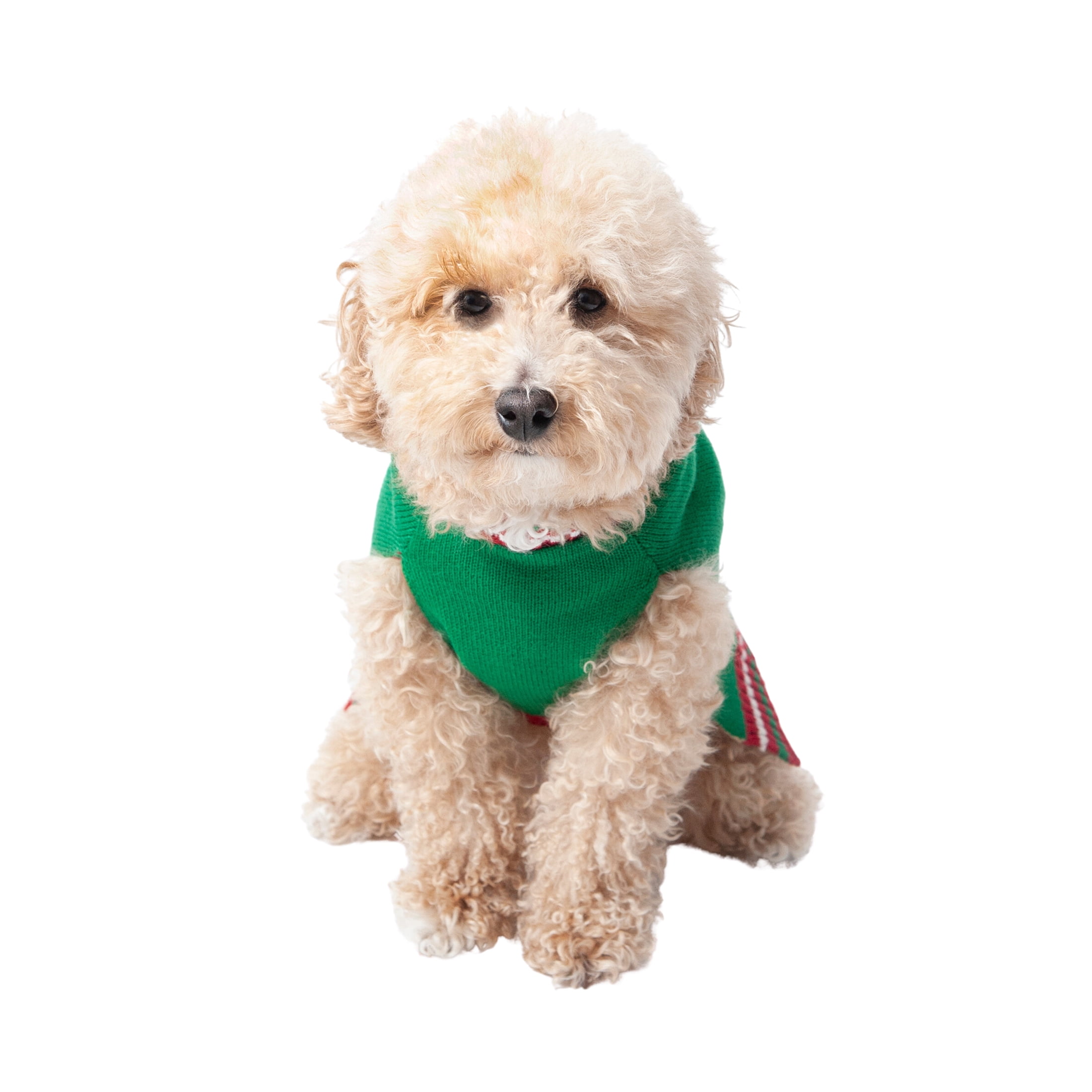 Vibrant Life Holiday Dog and Cat Clothes Green Gingerbread Man Sweater, Extra Small