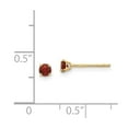 thumbnail image 3 of Real 14kt Yellow Gold Madi K Round Garnet 3mm Post Earrings; for Adults and Teens; for Women and Men, 3 of 3