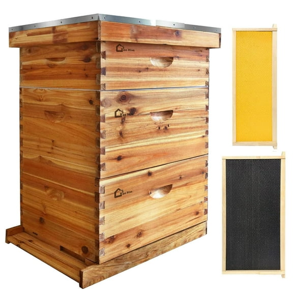 BeesClover Trousse de Ruche à 10 Cadres, Boîtes de Ruche Enduites de Cire d'Abeille Trousse de Ruche avec Cadres de Ruches et Fondations en Cire pour Apiculteurs (2 Bacs Profonds et 1 Moyen Super)