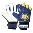 thumbnail image 5 of Scotland FA Boys Goalkeeper Gloves, 5 of 5