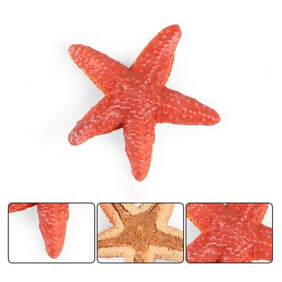 HUMJUSE Starfish Decor, Simulation Starfish Colorful Starfish Artificial Starfish Model Starfish Decoration Craft Resin Mediterranean Decor