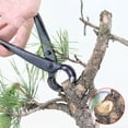 thumbnail image 3 of FOMIYES De Bonsai Para Ramas Y Arbustos Con En Al Carbono Negro, 3 of 8