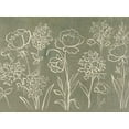 thumbnail image 2 of Vassileva, Silvia 18x15 White Modern Wood Framed Museum Art Print Titled - Sage Floral I Crop, 2 of 4