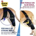 thumbnail image 4 of Dog Knee Brace For Torn Acl, Support For Hind Leg And Hip, Reduces Arthritis Pain, 4 of 4